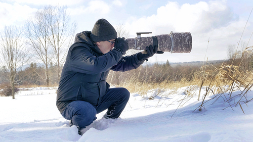 Capturing Untamed Beauty: The Art of Jacques-Andre Dupont