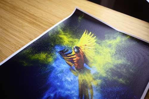 Canvas Paper  with matte varnish