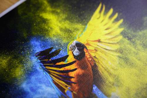 Canvas Paper  with semi-gloss varnish