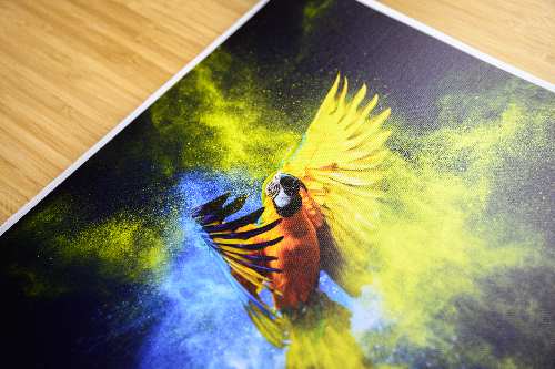 Canvas Paper  with semi-gloss varnish