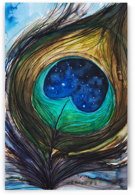 Artwork showing the detail of a colourful bird feather by PacificStock