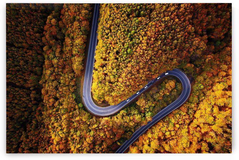 Serpentine column by 1x