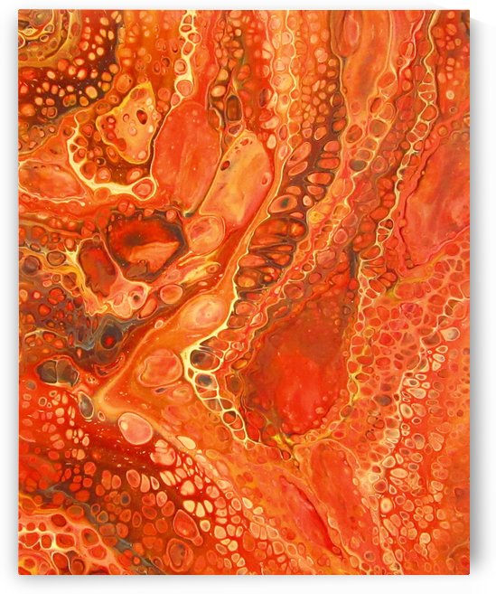 Kalahari Desert by Carola James