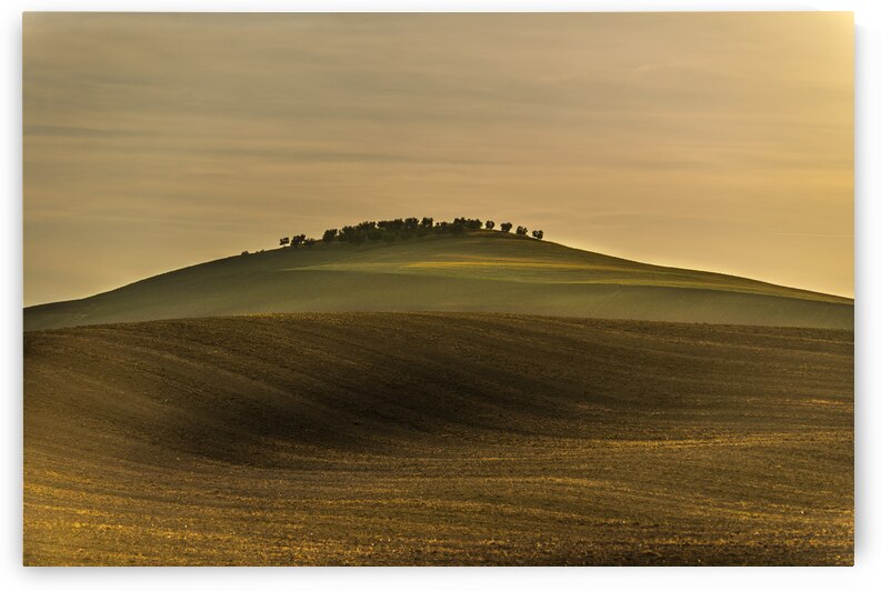 Toscane by Fabien Dormoy