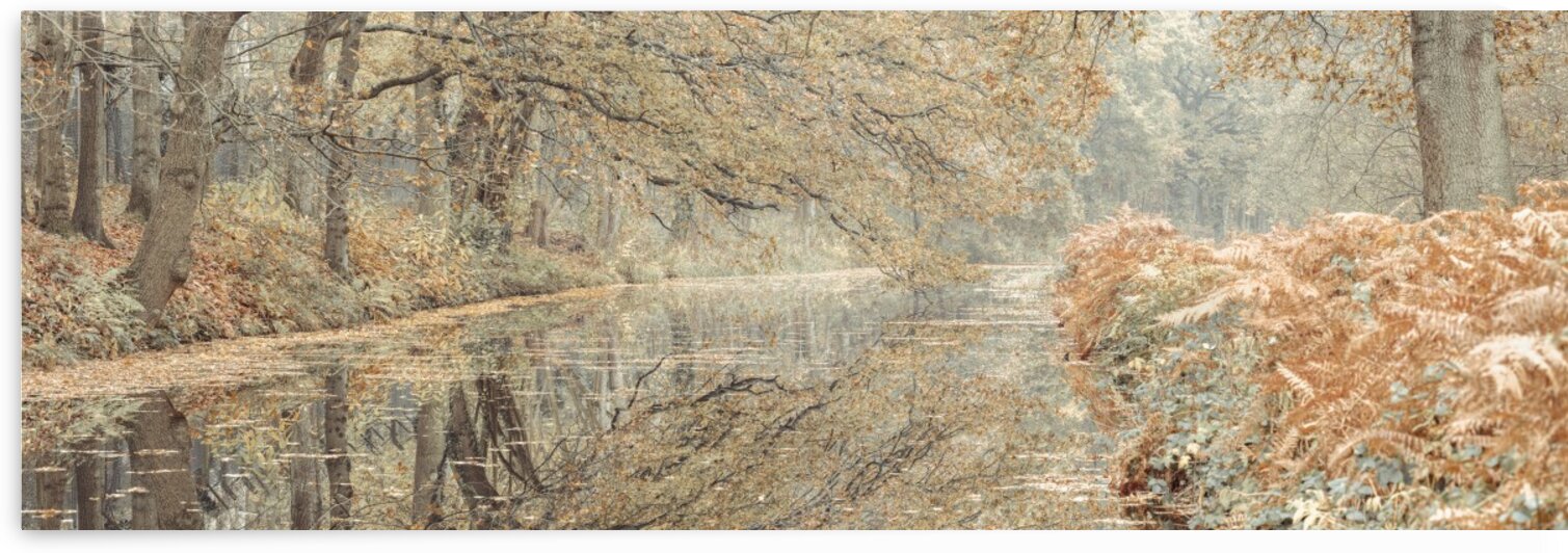 Canal through a forest by Assaf Frank