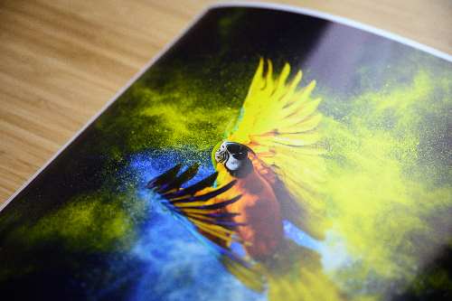 Glossy Pearlescent Photo Paper