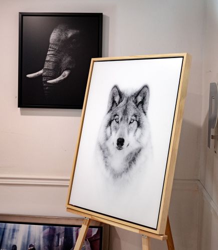 Acrylic Print Non Glare