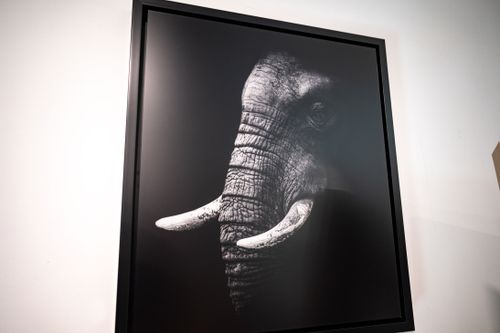 Acrylic Print Non Glare