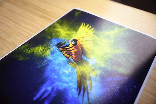 Poster Satin Photo Paper print