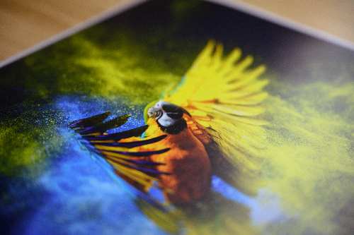 print on Poster Satin Photo Paper