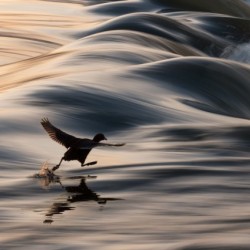 I Believe I Can Walk