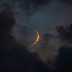 Waxing Crescent 