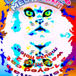 Kookie King Krypto Kat