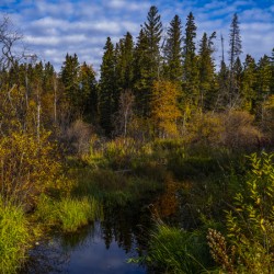 Northern Saskatchewan