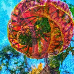 Portal to the Multiverse