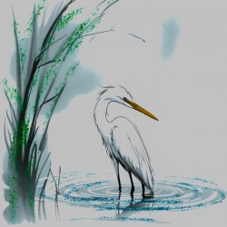 Heron