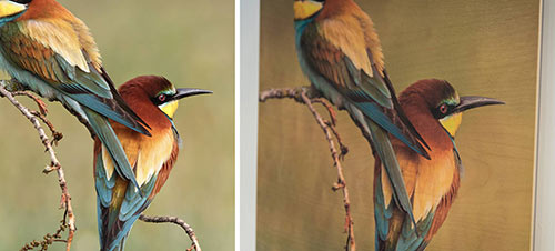 Color Printing on wood