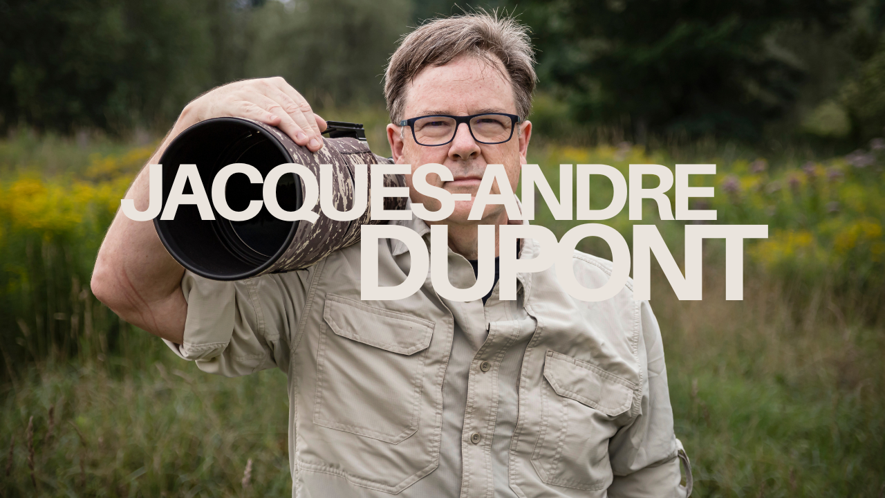 Capturing Untamed Beauty: The Art of Jacques-Andre Dupont